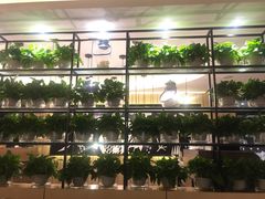 -牛爱客牛排(温岭千禧店)