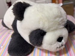 -莫莉幻想儿童乐园(武汉经开永旺店)