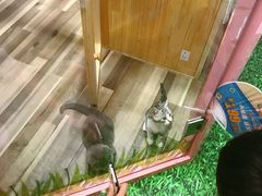 -吾悦广场(天津和平店)