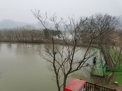 -长兴太湖图影湿地文化园