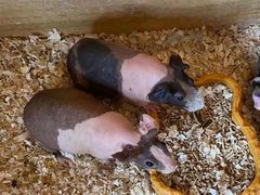 -珠海海泉湾神秘岛亲子乐园