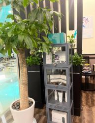 -史云逊养发护发