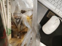 -黄毛鸭脖(汉阳总店)