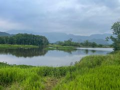 -大九湖