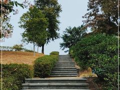 -中国移动南方基地