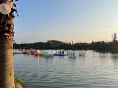 -枫香湖儿童公园