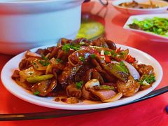 -品雅轩农家乐