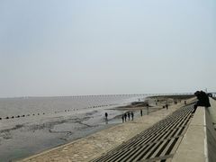 -春花秋色城市公园