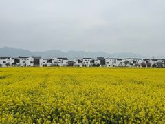 -东梓关景区村庄