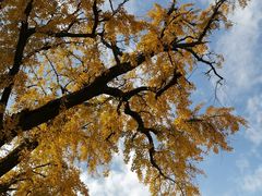 -新场古镇-停车场