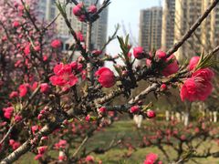 -白塘生态植物园