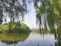 -杭州城北体育公园