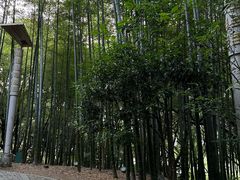 -临平公园(临平街道)