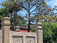 -北陵公园