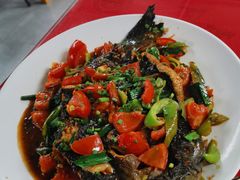 -生态苑农庄(十里画廊遇龙河店)