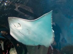 -苏州海洋馆