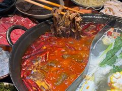 -阳阳老火锅(小南门店)