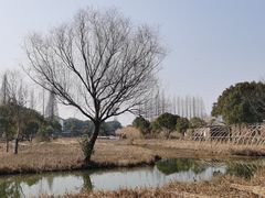 -沙家浜风景区