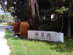 -音乐广场