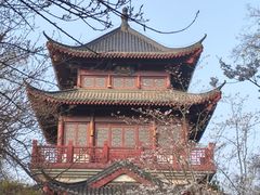 -堤角公园