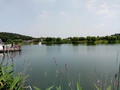 -大塘金香草谷
