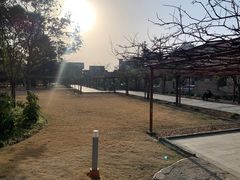 -嘉定紫藤园