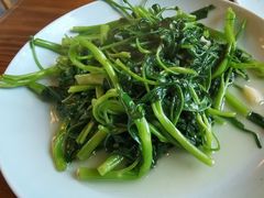 -双塔老饭店
