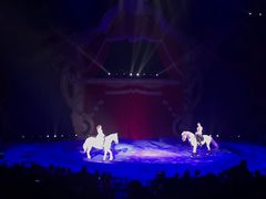 -珠海横琴长隆《卡卡虎奇遇记》