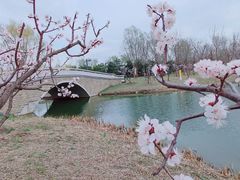 -东郊湿地公园
