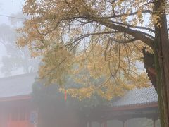 -金堂县云顶石城风景区