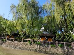 -运河游船(武林门码头)