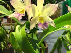 -三旗百汇商品城