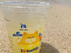 -三亚西岛海洋文化旅游区