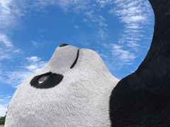 -都江堰景区