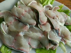 -金砂阿洲鱼册店