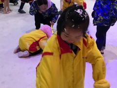 -世界之窗阿尔卑斯冰雪世界