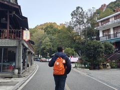 -龙井村