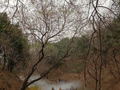 -北京西山国家森林公园