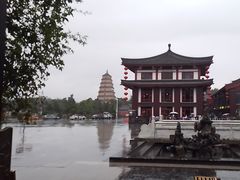 -唐猫庭院·千年陕菜(大唐不夜城店)