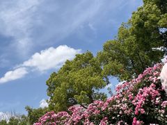 -嘉北郊野公园