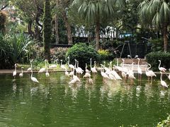-九龙公园