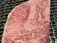 -黑牛の店·和牛烧肉(欢乐港湾店)