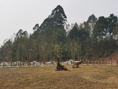 -黄龙溪欢乐田园