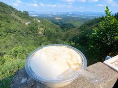 豆腐花-山景山庄