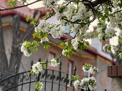 -天津五大道文化旅游区