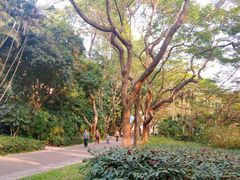 -人民公园(罗湖区)