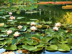 -国家植物园南园