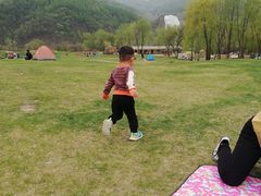 -北京龙庆四季香农家饭庄·灶台鱼·碳烤虹鳟鱼(龙庆峡店)