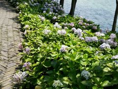 -高子水居