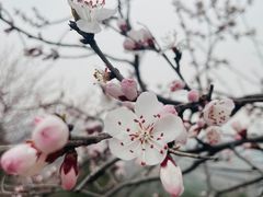 -白水寺森林公园